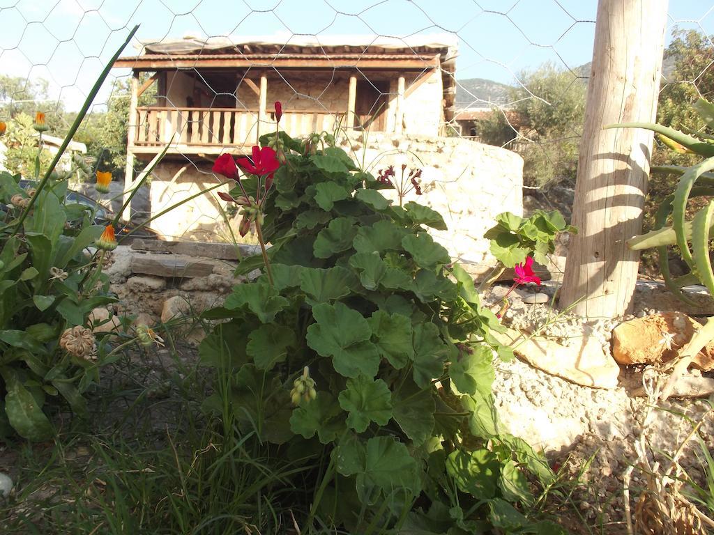 Beymelek Tas Evler Guest House Demre Bagian luar foto
